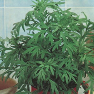 n[u  y [Ebh2 z  ( n[u̎ )