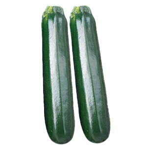 YbL[j  y [_ TSX|750Z z 100 ( YbL[j̎ )