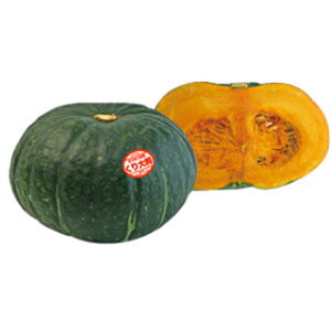 �J�{�`�� �� �y ����叫 �z 500�� ( �J�{�`���̎� )