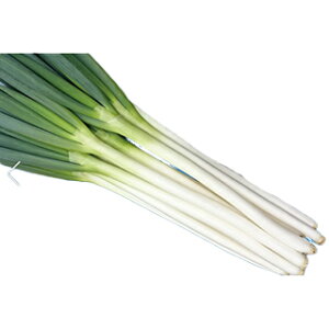 �l�M �� �y ��͂̍��� �z 1dl ( �l�M�̎� )