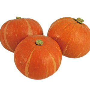 J{`  y gE z 100 ( J{`̎ )