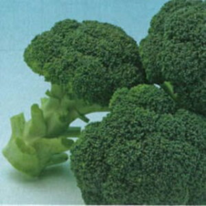 ubR[  y  z ܁i1D2mlj ( ubR[̎ )