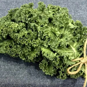 P[  y J[mP[EFf z ܁i40j ( P[̎ )