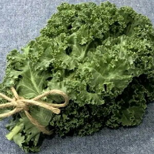 P[  y J[mP[CG z ܁i40j ( P[̎ )