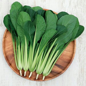   y 炬 z 珬 ( ؂̎ )