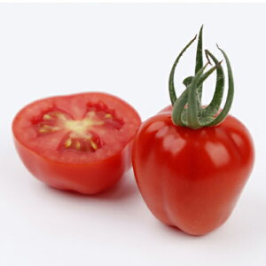 �~�j�g�}�g �� �y �A�b�v���x���[ �z ���܁i7���j ( �~�j�g�}�g�̎� )