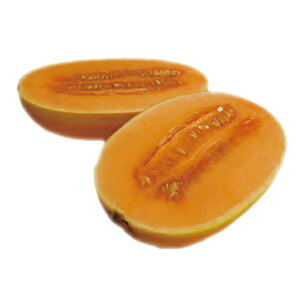   y [OLbX z ܁i5j ( ̎ )