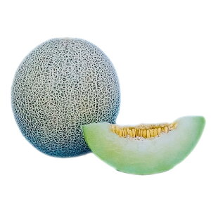 メロン 種 【 タカミ 】 10粒 ( メロンの種 )
