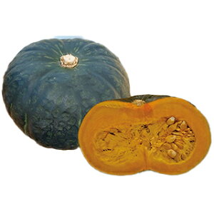 �J�{�`�� �� �y TSX�|820 �z 100�� ( �J�{�`���̎� )