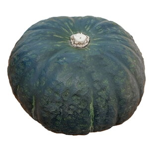 �J�{�`�� �� �y TSX�|820 �z 500�� ( �J�{�`���̎� )