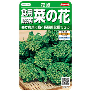 ؂̉  y ϕaHp؂̉ԁ@Ԗ z 珬 ( ؂̉Ԃ̎ )