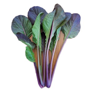   y  TSX|553 z 1dl ( ؂̎ )