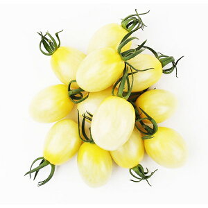 �~�j�g�}�g �� �y TY�v�����z���C�g �z ���� ( �~�j�g�}�g�̎� )