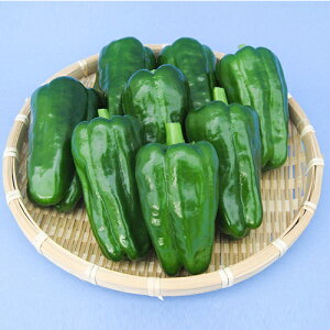 s[}  y ݂O[ z 100 ( s[}̎ )