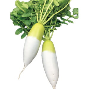 _CR  y Ƃ z 8000 ( _CR̎ )