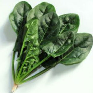 ق  y [E z M3 ( ق񑐂̎ )