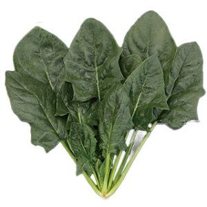 ق  y @K[h19 z M3 ( ق񑐂̎ )