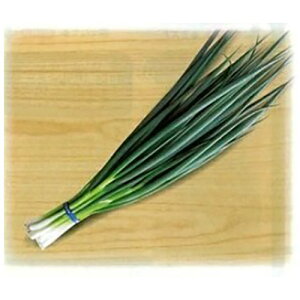 �l�M �� �y �[�P �z 2dl ( �l�M�̎� )