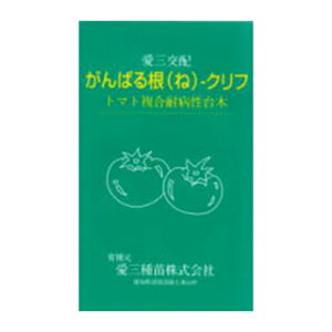 �g�}�g��� �� �y ����΂鍪�N���t �z 100�� ( �g�}�g��؂̎� )