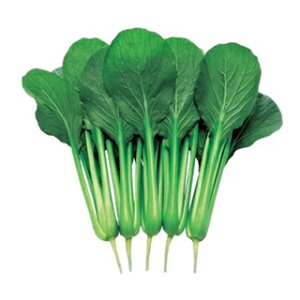   y ܂ z ܁i6mlj ( ؂̎ )