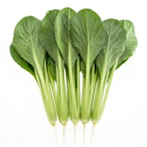   y ̂Ȃ z ܁i6mlj ( ؂̎ )