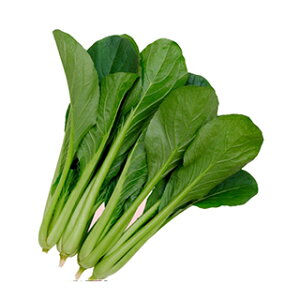   y KMiN[006j z  ( ؂̎ )