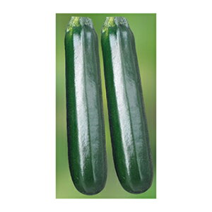 YbL[j  y [_750Z z 500 ( YbL[j̎ )