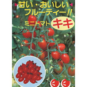 �~�j�g�}�g �� �y �L�L �z ���� ( �~�j�g�}�g�̎� )