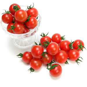 �g�}�g �� �y TY�݂킭 �z 100�� ( �g�}�g�̎� )