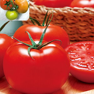 g}g  y YuCg z ybg痱i2Lj ( g}g̎ )