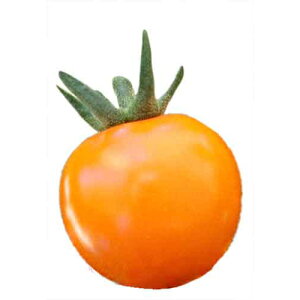 g}g  y TIW z 1000 ( g}g̎ )