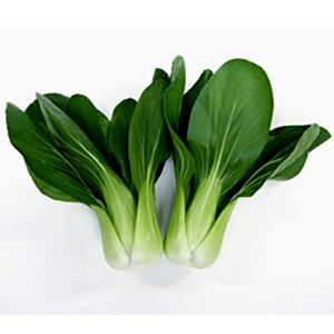 `QTC  y jCnI114 z q5000 ( `QTC̎ )