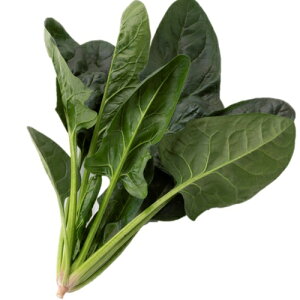 zE\E  y }[xX z 3 ( zE\E̎ )