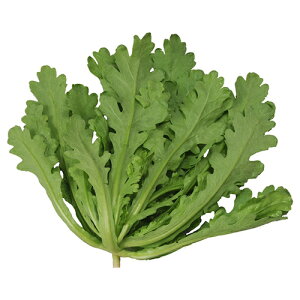 VMN  y {[Abv z SR[g1 ( VMN̎ )