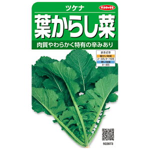 cPi  y t炵 z 珬 ( cPi̎ )