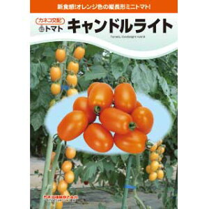 ~jg}g  y LhCg z ܁i12j ( ~jg}g̎ )