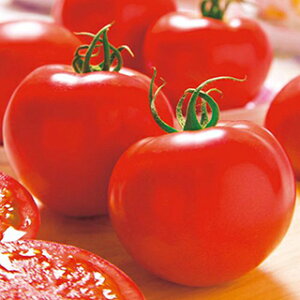 ʃg}g  y z[Y RF z (27) ( ʃg}g̎ )