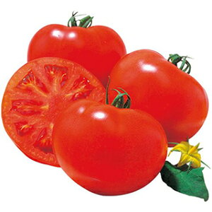 ʃg}g  y Y8 DF z (16) ( ʃg}g̎ )