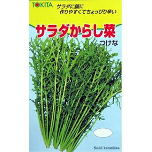 cPi  y T_炵 z 2dl ( cPi̎ )