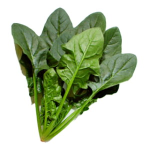 ق  y PCTC z M3 ( ق񑐂̎ )