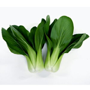 `QTC  y jCnIO z ܁i600j ( `QTC̎ )