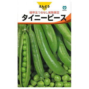 �G���h�E �� �y ���G���h�E�i�␫�j �^�C�j�[�s�[�X �z 1L �i �� ��� ��؎�q ��؎� �j