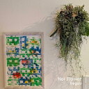 送料無料 税込み　お洒落なグリーンの壁掛けアレンジ インテリア アートフラワー アーティフィシャルフラワー エアプランツ 開店お祝い