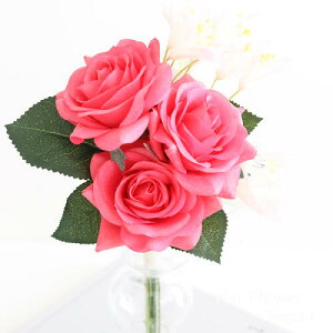 y͂ȂԁzƂ胍[YƏԂ̃~ju[P bsOt@̓ Mtg