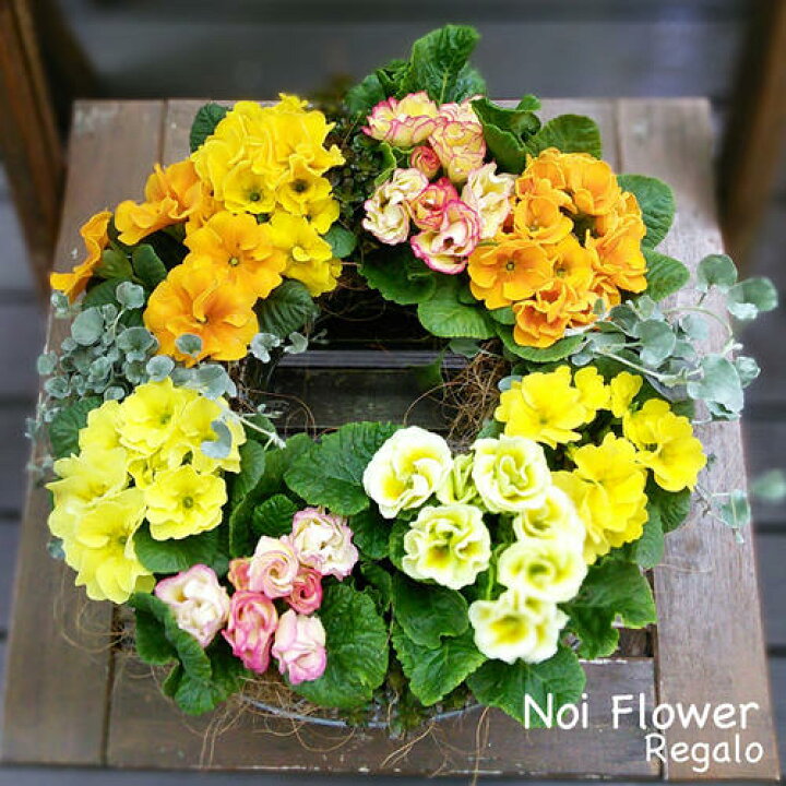 楽天市場】春色 ジュリアン リース 寄せ植えリース : ノイフラワーレガーロ