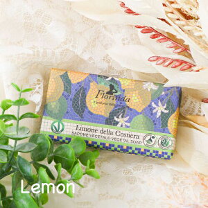 yPiwszC^A \[vbyFLORINDAz UCNV[Y tOX\[v Mtg ̓ a oYj