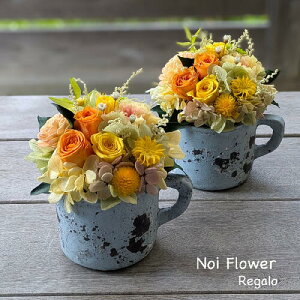 @ AWg r^~J[̃vU[uht[ v`AW j a v[g Mtg