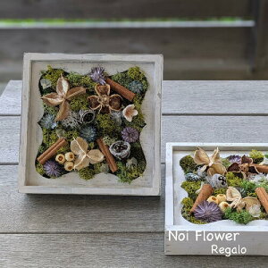  14܂ł̂͑ }  AWg CeAX̉ԔvU[uht[ؐBOX`AW j a v[g Mtg