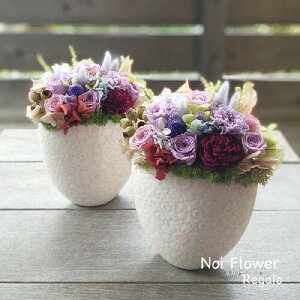  14܂ł̂͑ yvU[uht[zv[g ̓ Mtg _ȌÊE̎_ vUAW  j a 70 77