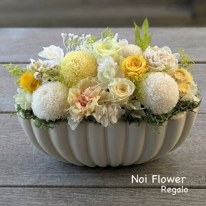 WXgvCX@~  v[g zCgGKg vU[uht[ AW  mԂg{̂܂ԁyԁz    @   